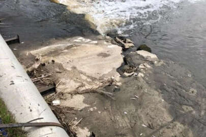 Kırklareli Babaeski’de deredeki balık ölümleri tedirgin etti