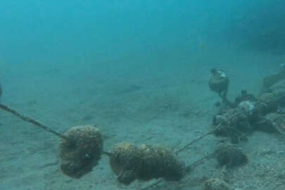 Marmara Denizi'ni bekleyen tehlike: İstila!