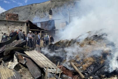 Bolu'da feci yangın!