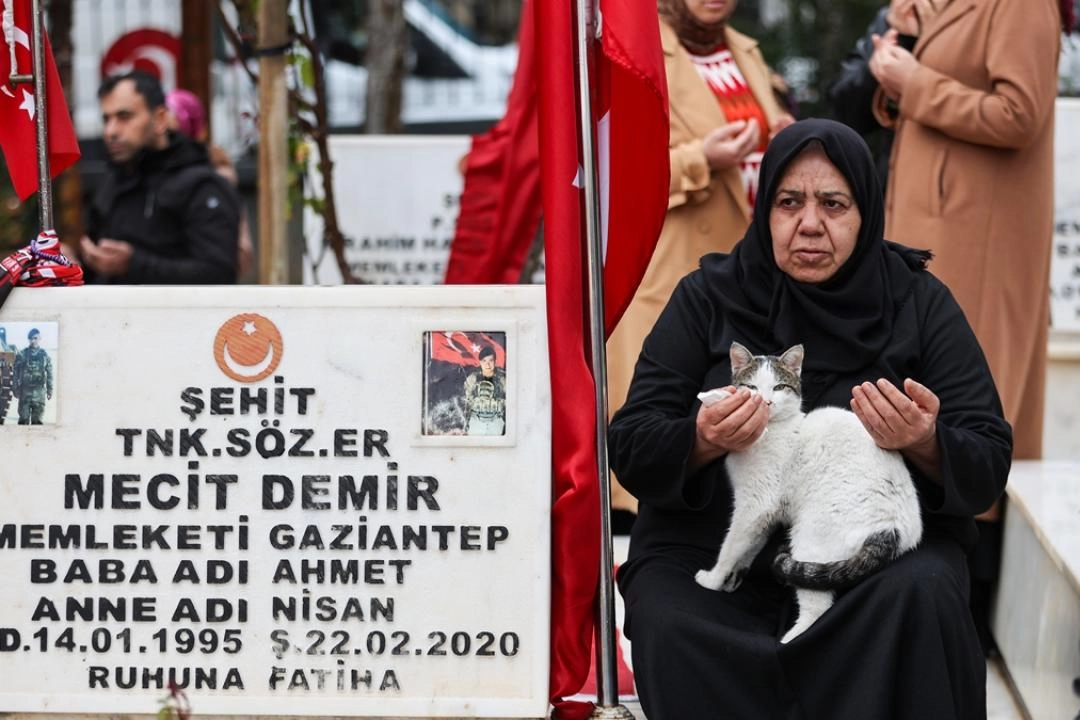 Şehitlikten ayrılmayan kedi, ailelerin teselli kaynağı oldu