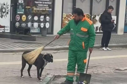 Bursa'da temizlik görevlisi ve sokak köpeğinin anları yüzleri gülümsetti