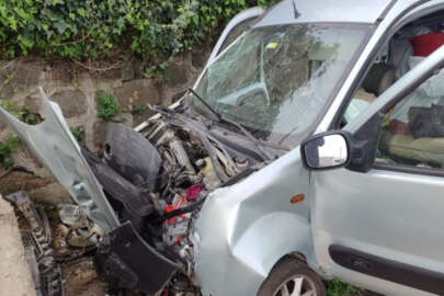 Giresun'da kamyonet kazası!