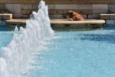 Adana'da termometreler 33 dereceyi gösterdi