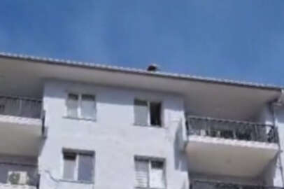 BUSKİ'nin çatısında intihar girişimi