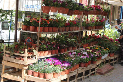 Bahar geldi, Aydın'da pazar tezgahları renklendi