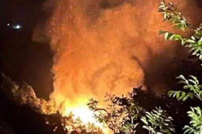 Yalova'da korkutan orman yangını!