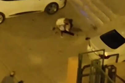 Adana'da evden kaçan pitbull cinsi köpek kendisini almaya gelen sahibini, onun annesini ve ağabeyinin ayağına saldırıp yaraladı. Yaralı aile hastaneye kaldırıldı.