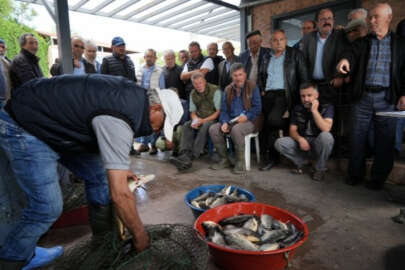 Bursa'da 100 yıllık balık mezadı ilgi görüyor