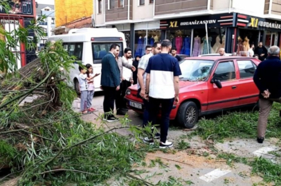 Bursa'da seyir halindeki otomobilin üzerine ağaç devrildi