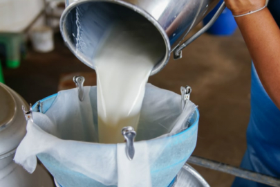 Çiğ süt üretimi 2023 yılında azaldı