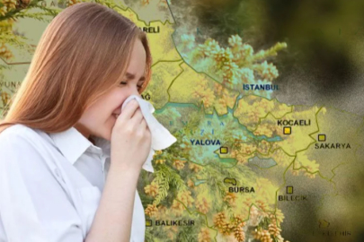 Bursa'ya polen alerjisi uyarısı!