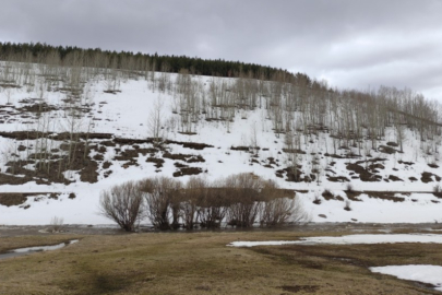 Ardahan'da bahar ve kış bir arada yaşandı
