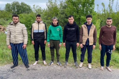 Edirne'de 6 kaçak göçmen jandarmadan kaçamadı
