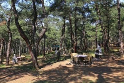 Bursa'da orman yangınları ile mücadele kapsamında piknik yasağı!