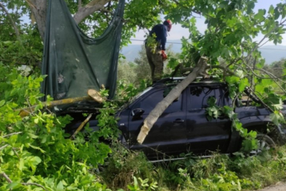 Bursa'da kontrolden çıkan kamyonet ağaca çarptı