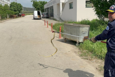 Bursa'da polis arabasına giren yılanı itfaiye ekibi çıkardı