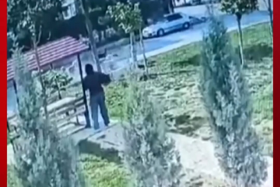 Konya'nın Seydişehir ilçesinde bir kız öğrenciye sokak köpeklerinin saldırdığı anlar güvenlik kamerasına yansıdı