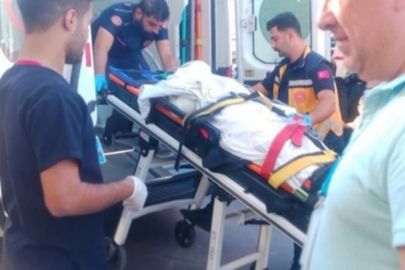 Şanlıurfa'da hasat makinesi elektrik hattına çarptı: 2 ölü, 3 yaralı!
