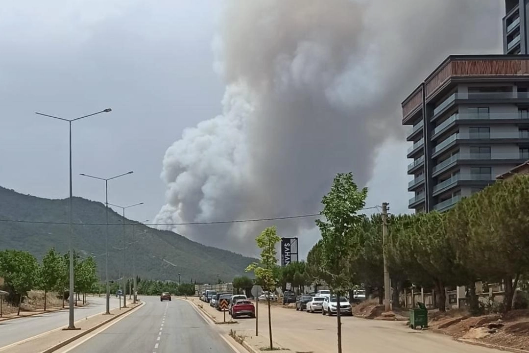 Denizli'de çıkan orman yangınına müdahale ediliyor