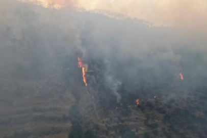 Aydın'daki yangın yerleşim yerlerini tehdit etmeye başladı