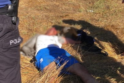 Sokak ortasındaki kavgada sopa ve içki şişesiyle birbirlerine girdiler