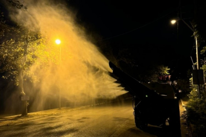 Bursa'da İznik Boyalıca sahilindeki ağaçlar ilaçlanıyor