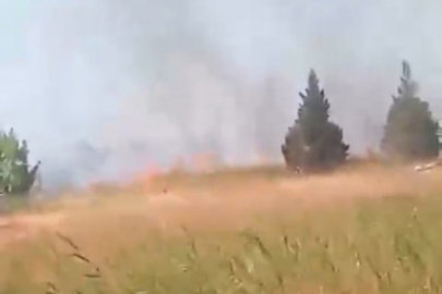 Bursa Karacabey'de otluk alanda yangın!