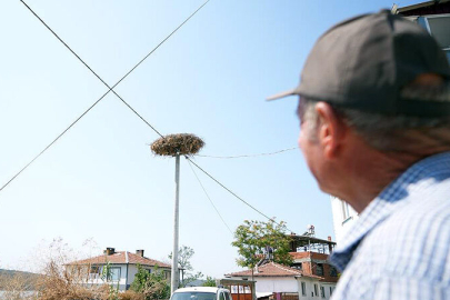 Bursa’da Yaren leylek göç yoluna çıktı! Adem amca: Alışmak zorundayız
