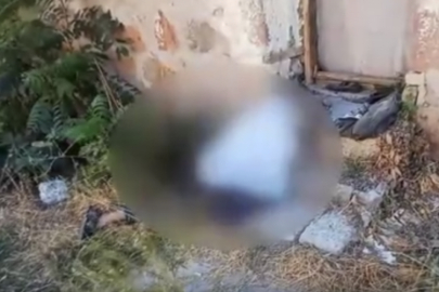 Cinli köy olarak bilinen köye giden gençler hayatının şokunu yaşadı