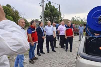 Kokarcaya 250 feromon tuzak