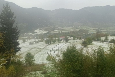 Dolu yağdı:Her yer beyaza büründü