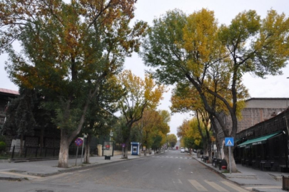 Sonbahar yaprakları büyüleyici pastel renkleriyle görsel şölen sundu!