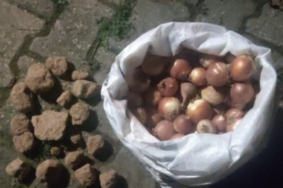 Sonunda buda oldu: Soğan çuvalından çıkanlar şoke etti
