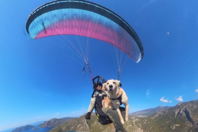 Köpeğiyle birlikte bin 700 metreden atladı
