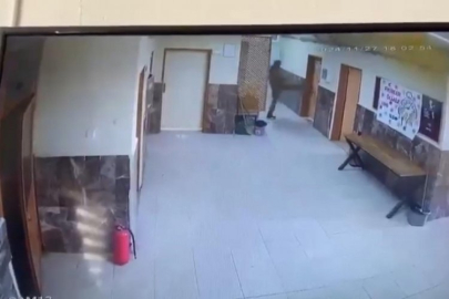 Kardeşinin okulda tartıştığı 2 öğretmeni tekme tokat dövdü