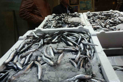 Hamside korkulan olmadı