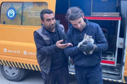 Bursa'da kaputa sıkışan kedi güçlüklü kurtarıldı!