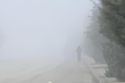 Yoğun sis görüş mesafesini düşürdü