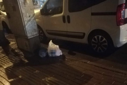 Şüpheli poşetten portakal çıktı