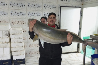 50 kiloluk Akya balığını 2 kişi, 2 saatlik mücadeleyle yakalamayı başardı