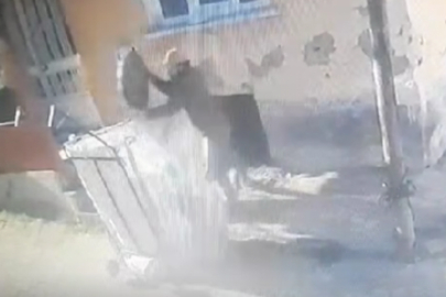 Eşya çalan hırsızlar kamerada