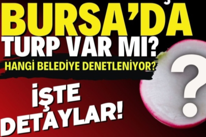 Heybedeki turpların içinde Bursa var mı? Denetçiler o belediye için geliyor..
