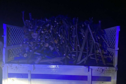 Ormanlık alandaki ağaçları kesen 3 şüpheli yakalandı