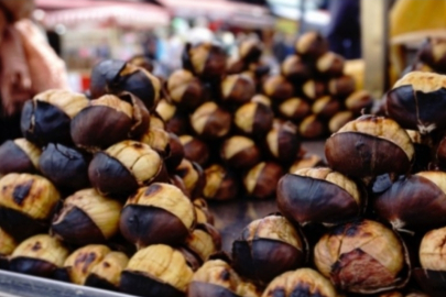 Bursa kestanesinin üretimi bir önceki yıla göre yüzde 4.4 arttı