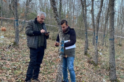 Bursa Ormanlarındaki ağaçlar tek tek kontrol edildi