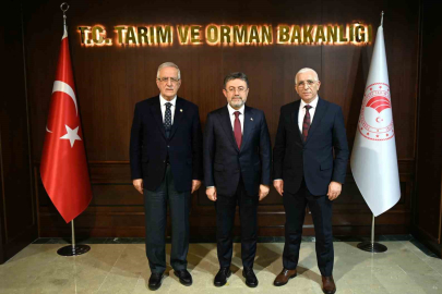 Marmarabirlik Yönetim Kurulu Başkanı Hidamet Asa:"Dane zeytine prim desteği kaldırılmamalı"