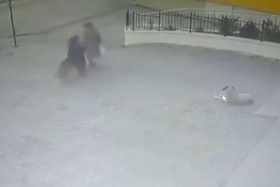 Sahipsiz köpeğin yaşlı kadına saldırdığı anlar kamerada