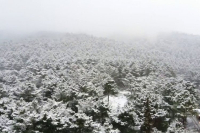 Aydos Ormanı beyaza büründü