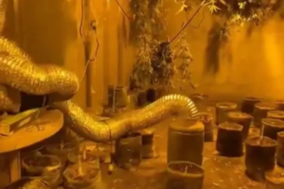 Bursa jandarmasından dev operasyon