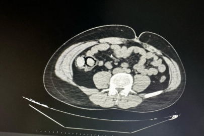 Bu kadarına da pes!